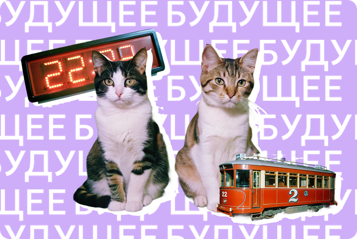 Мозг помогает вам врать самим себе. Как селективное восприятие искажает мир и что с этим делать