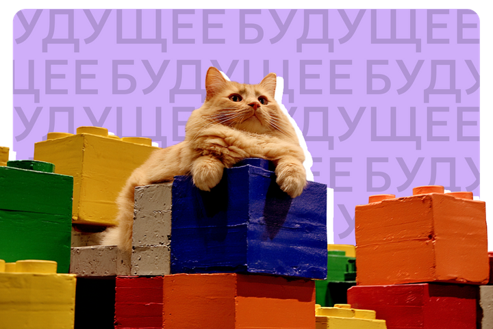 О квантовой физике языком чайников. Как разобраться в этой сложной теме, если ты гуманитарий